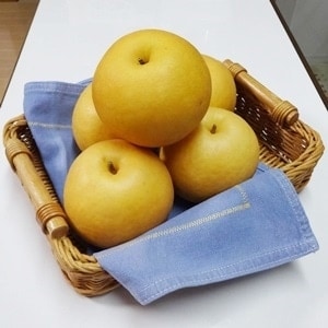【期間限定】京都府京丹後産 新興梨 約5kg(6玉～14玉入り)産地直送の糖度の高いナシをお届け。