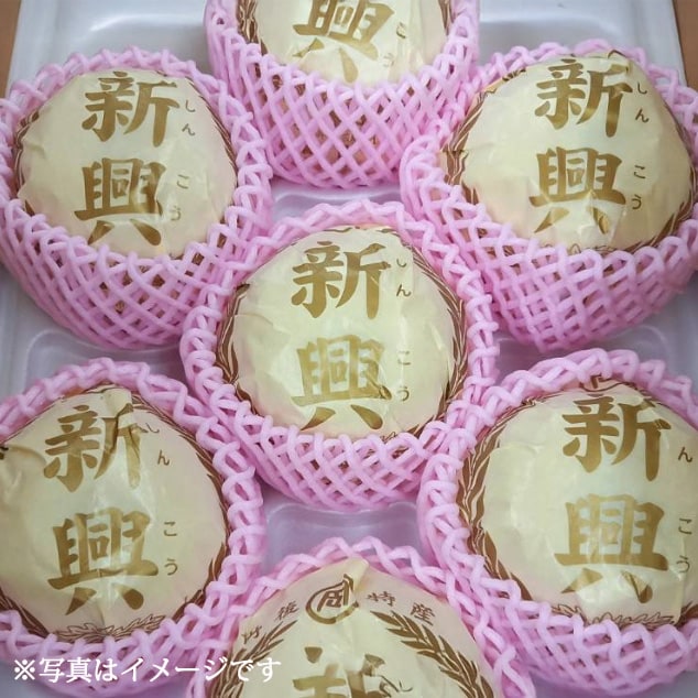【期間限定】京都府京丹後産 新興梨 約5kg(6玉～14玉入り)産地直送の糖度の高いナシをお届け。