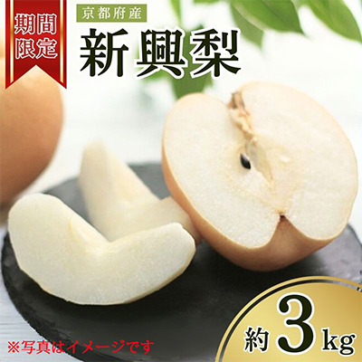 【先行予約・期間限定】2026年産 旬の新興梨 約3kg(5玉～8玉) 産地直送 果物 秋のフルーツ