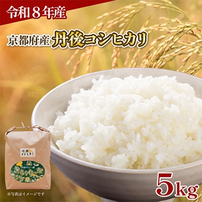 【令和8年産】京都府産 丹後コシヒカリ 5kg お米 5キロ 特A米