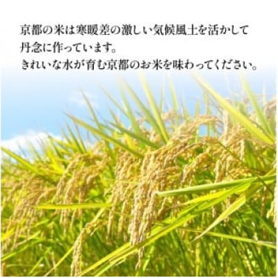 【令和7年産 新米】京都府産 丹後コシヒカリ 玄米 5kg