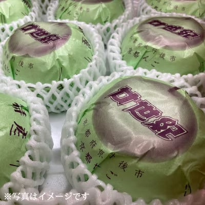 【先行予約・期間限定】2026年産 旬の二十世紀梨 約3kg 7玉〜10玉 産地直送