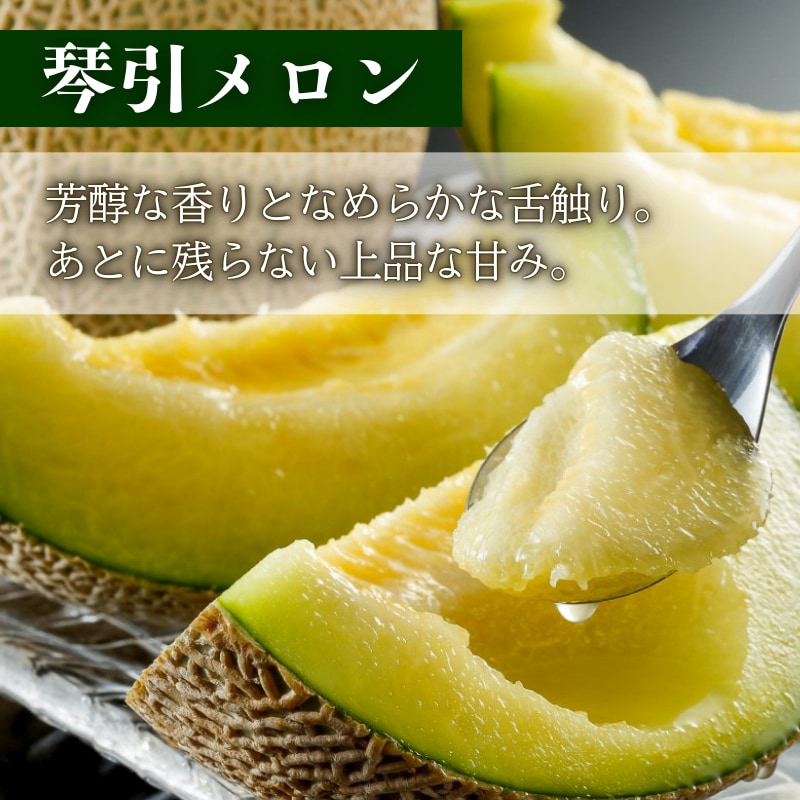 【先行予約】2026年度産 京丹後市産メロン 食べ比べセット「琴引メロン」「砂丘メロン」