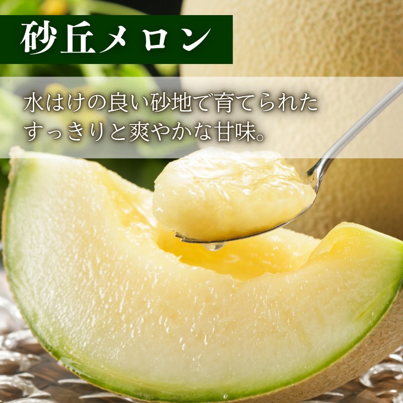 【先行予約】2026年度産 京丹後市産メロン 食べ比べセット「琴引メロン」「砂丘メロン」