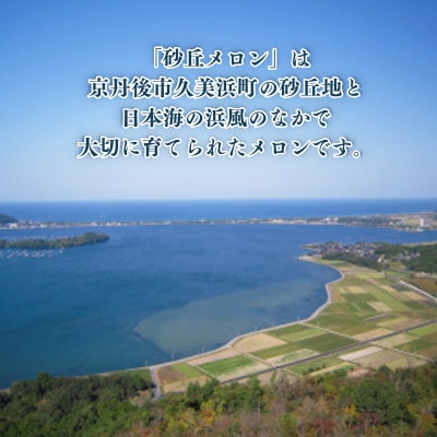【先行予約】2026年度産 京丹後市産メロン 食べ比べセット「琴引メロン」「砂丘メロン」