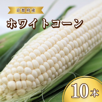 【先行予約】とうもろこし ホワイトコーン 10本 京都府