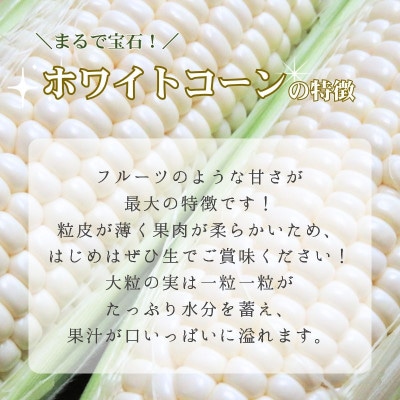【先行予約】とうもろこし ホワイトコーン 10本 京都府