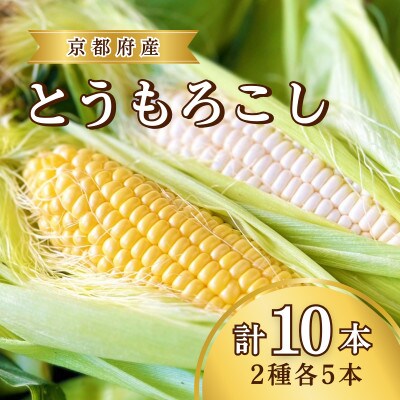 【先行予約】とうもろこし 2種セット各5本(ホワイトコーン・イエローコーン)  計10本