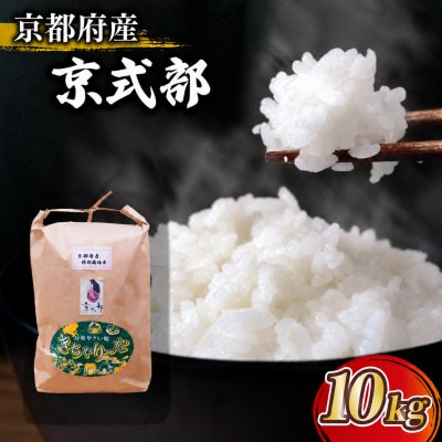 【令和8年産】 京都府産 ブランド米 京式部 10kg コシヒカリを基準米としたお米
