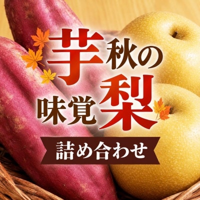 秋の旬詰め合わせセット ( 新興梨 さつまいも )