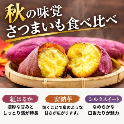 秋の旬詰め合わせセット ( 新興梨 さつまいも )