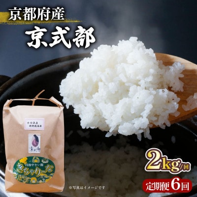 【毎月定期便】京都府産 ブランド米 京式部 2kg コシヒカリを基準米としたお米 全6回 6ヶ月