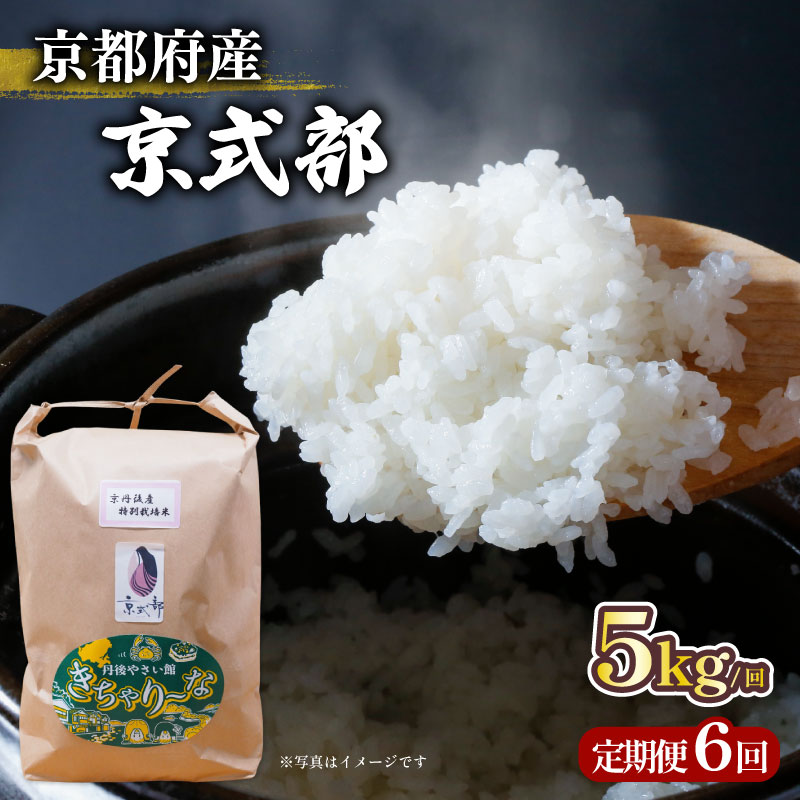 【毎月定期便】京都府産 ブランド米 京式部 5kg コシヒカリを基準米としたお米 全6回 6ヶ月