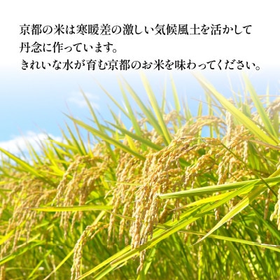 【毎月定期便】京都府産の銘柄米 食べ比べ 10kg (丹後コシヒカリ5kg、京式部5kg)全3回