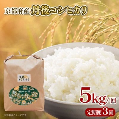 【毎月定期便】京都府産 丹後コシヒカリ 5kg お米 特A米全3回