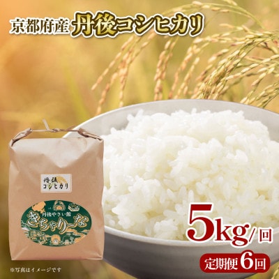 【毎月定期便】京都府産 丹後コシヒカリ 5kg お米 特A米全6回