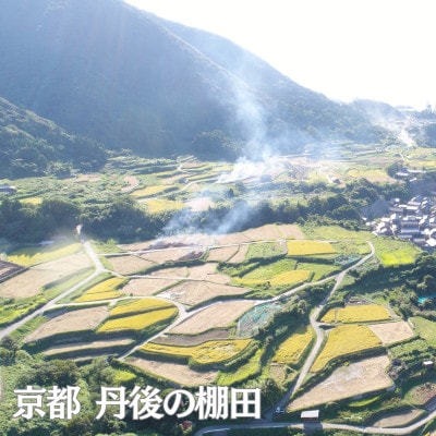 【毎月定期便】京都府産 丹後コシヒカリ 5kg 特A米 ブランド米を6ヶ月×5キロお届け