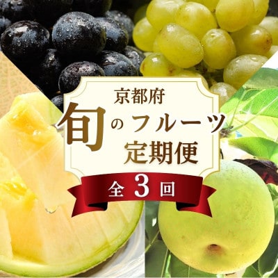 【発送月固定定期便】【毎月定期便】旬の果物定期便 季節の果物を3ヶ月お届け全3回