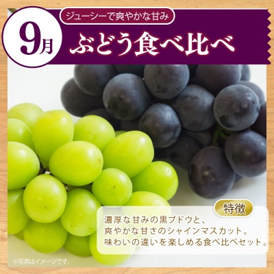 【発送月固定定期便】【毎月定期便】旬の果物定期便 季節の果物を3ヶ月お届け全3回