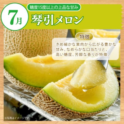 【発送月固定定期便】【毎月定期便】旬の果物定期便 季節の果物を3ヶ月お届け全3回