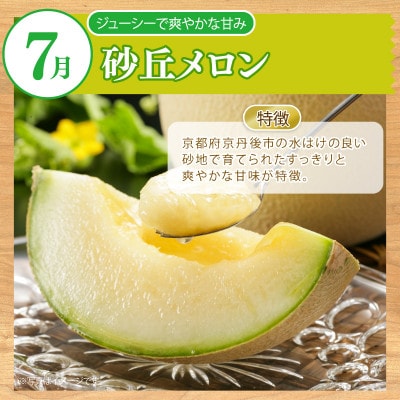 【発送月固定定期便】【毎月定期便】旬の果物定期便 季節の果物を2ヶ月お届け全2回