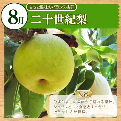 【発送月固定定期便】【毎月定期便】旬の果物定期便 季節の果物を2ヶ月お届け全2回