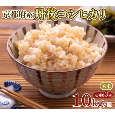 【毎月定期便】京都府産 丹後コシヒカリ 玄米 10kg全3回