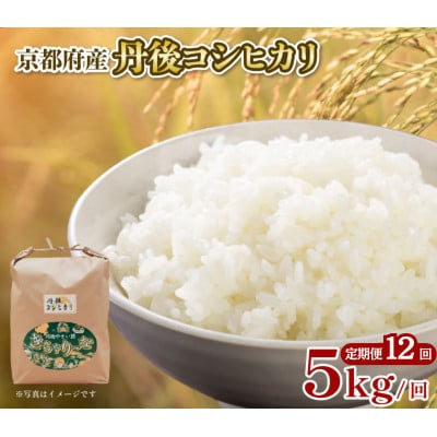 【毎月定期便】特A米 丹後コシヒカリ 5kg ブランド米を12ヶ月×5キロお届け全12回