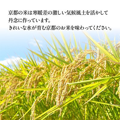 【毎月定期便】京都府産 ブランド米 京式部 2kg コシヒカリを基準米としたお米全12回