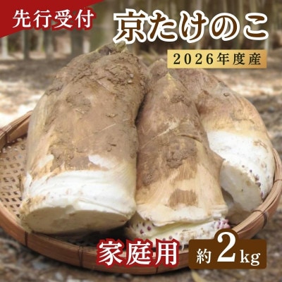 【先行予約・期間限定】2026年産 京たけのこ 約2kg 2～6本 ( 家庭用向き)