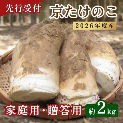 【先行予約・期間限定】2026年産 京たけのこ 約2kg 2～6本 ( 家庭用・贈答用向き)