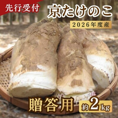 【先行予約・期間限定】2026年産　京たけのこ 約2kg 2～6本 ( 贈答用向き)
