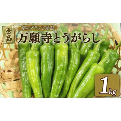 【期間限定】万願寺とうがらし 1kg A品(秀品)