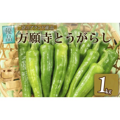 【期間限定】万願寺とうがらし A品(優品)1kg