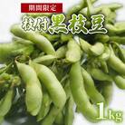 【期間限定】 京都府産 枝付き 黒枝豆 1kg (約500g×2束)