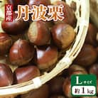 京都府産 丹波栗 1kg Lサイズ
