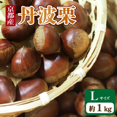 京都府産 丹波栗 1kg Lサイズ