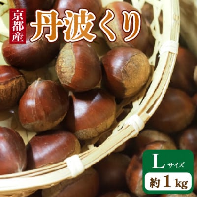 【先行予約・期間限定】　2026年産　京都府産 丹波くり 1kg Lサイズ