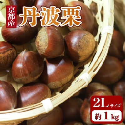 京都府産 丹波栗 1kg 2Lサイズ