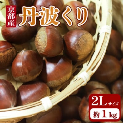 【先行予約・期間限定】 2026年産　京都府産 丹波くり 1kg 大粒 2Lサイズ　