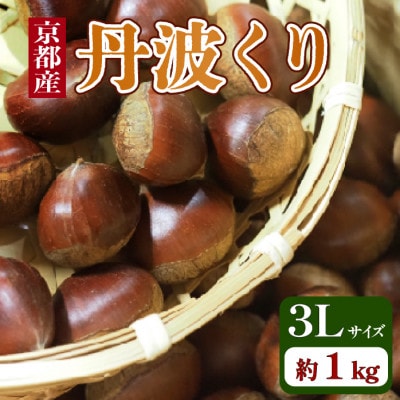 【先行予約】 2026年度産 京都府産 丹波くり 1kg 3Lサイズ