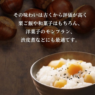 【先行予約】 2026年度産 京都府産 丹波栗 1kg 3Lサイズ