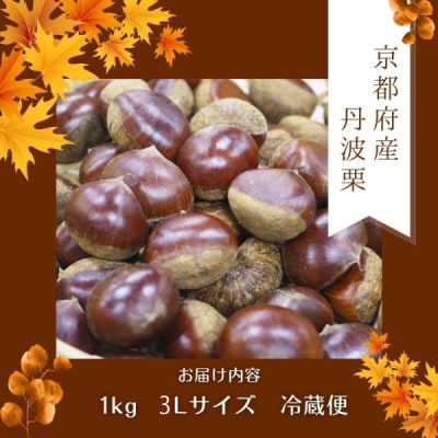 【先行予約】 2026年度産 京都府産 丹波栗 1kg 3Lサイズ