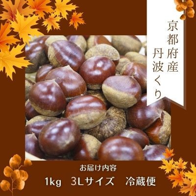 【先行予約】 2026年度産 京都府産 丹波くり 1kg 3Lサイズ