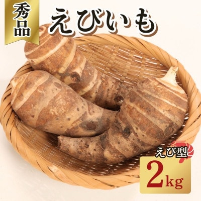 えびいも(里芋) 秀品 えび型 2kg(5-15個入) 伝統京野菜 煮物やあんかけ、素焼き、椀だねに