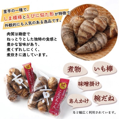 えびいも(こえびちゃん)300g × 10袋 計3kg 京野菜 小分け 煮物・コロッケ・天ぷら等に