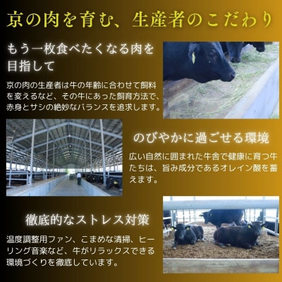 京都府産黒毛和牛 京の肉 サーロインステーキ 800g (200g×4枚セット) 国産牛