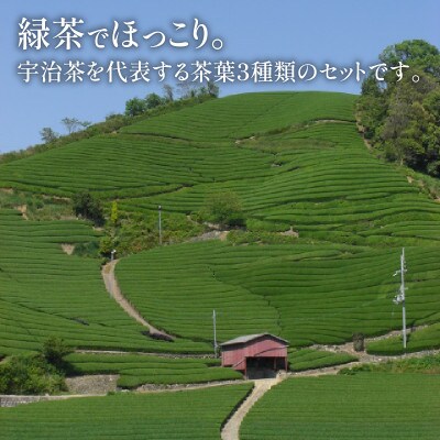 福寿(かぶせ茶) 京の香り(煎茶)  玉露かりがね 各80g 紙缶入 3本セット