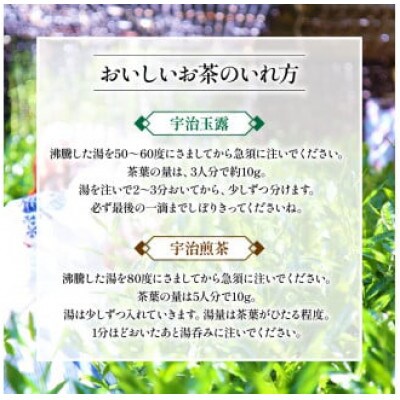 宇治茶 2種詰合せ(山城の露 玉露 優等煎茶 煎茶) 160g×2缶