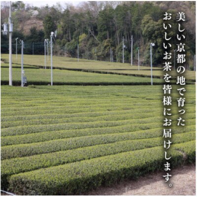 碾茶 ティーバッグ 4袋セット